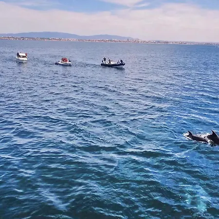 Вилла Alegria By Algarve Vacation Албуфейра